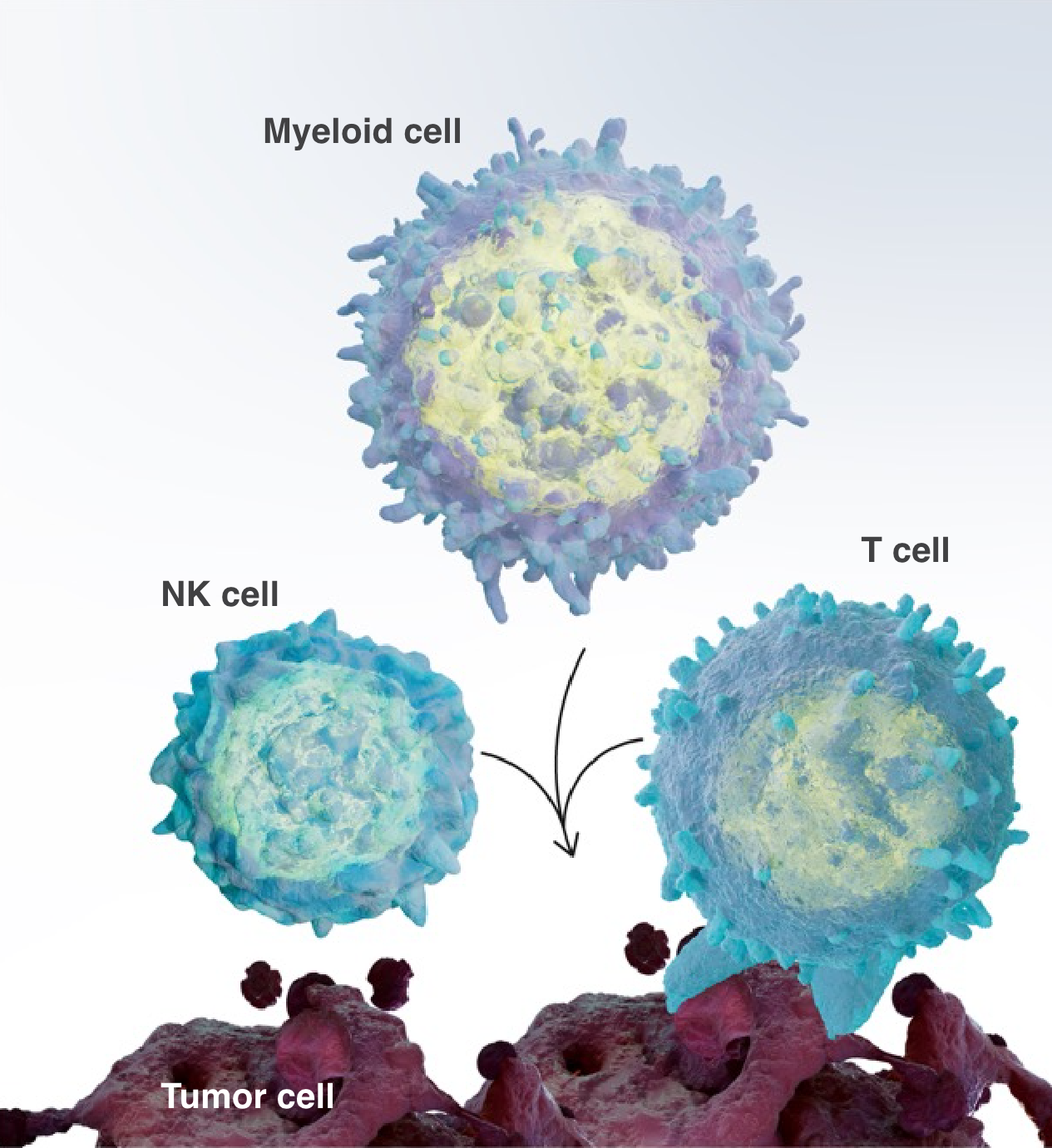 tumor cell death graphic