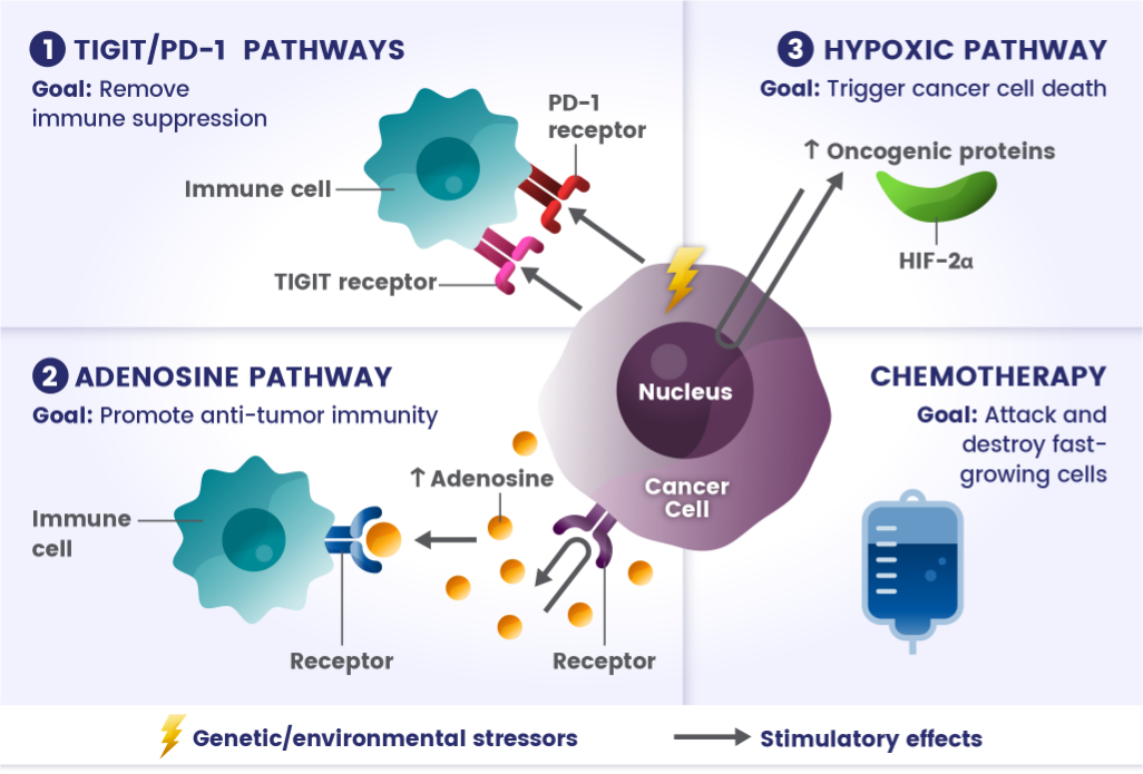 Tigit PD-1 Pathways