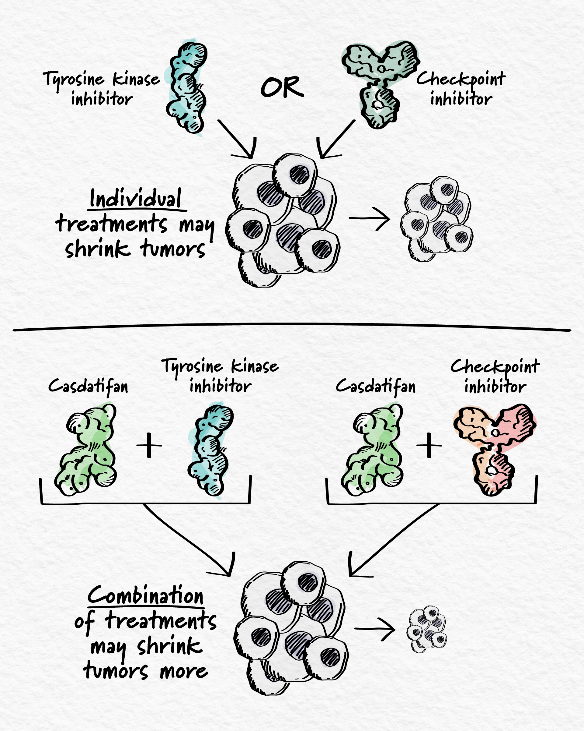 a graphic comparing two treatment approaches: a tyrosine kinase inhibitor and a checkpoint inhibitor, with the concept that combination therapies may shrink tumors more effectively than individual treatments