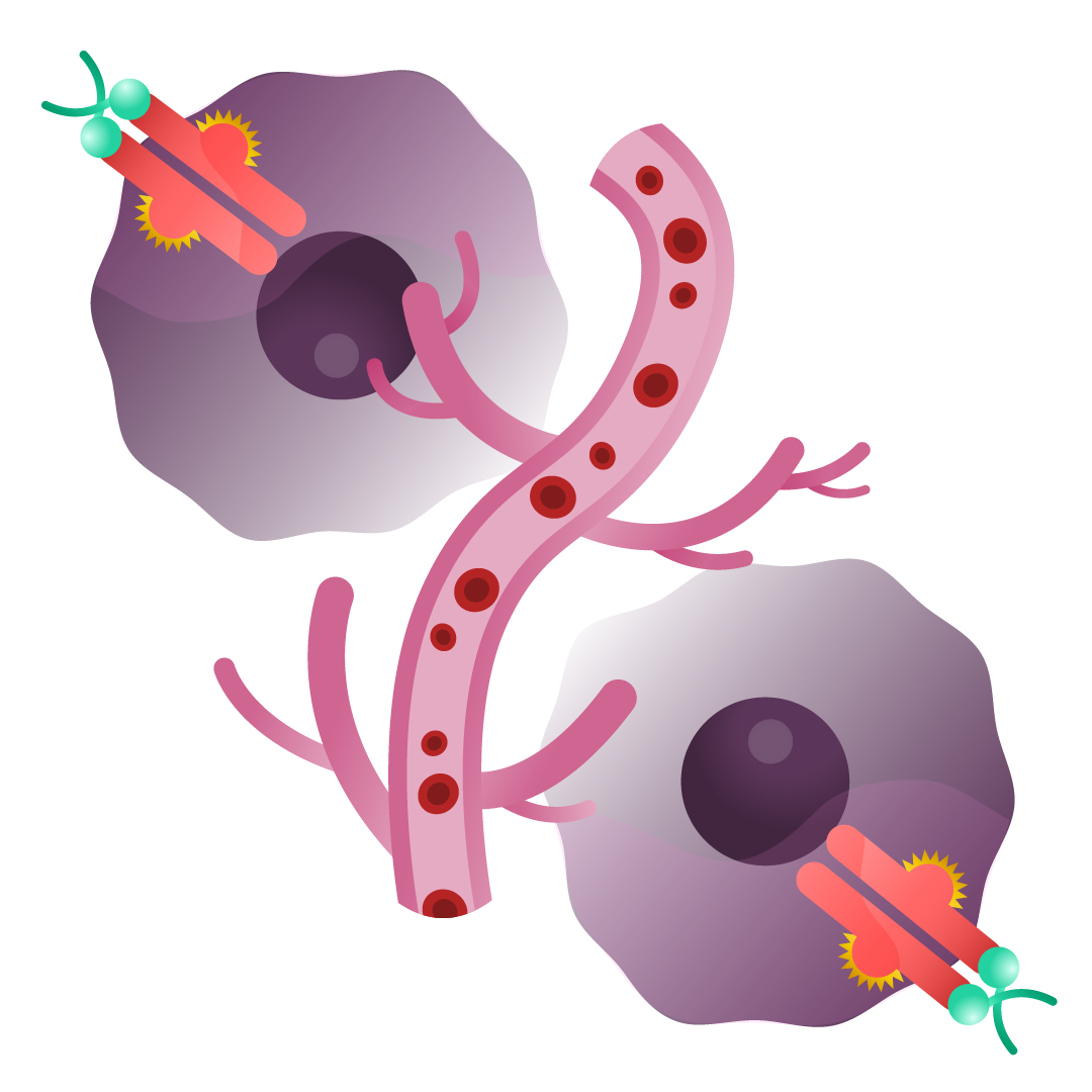 Illustration of Tyrosine Kinases, a protein that promotes tumor growth in kidney cancer